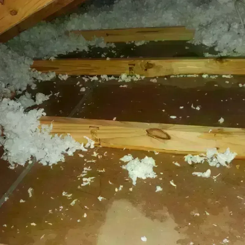 Attic Water Damage in Fort Shawnee, OH