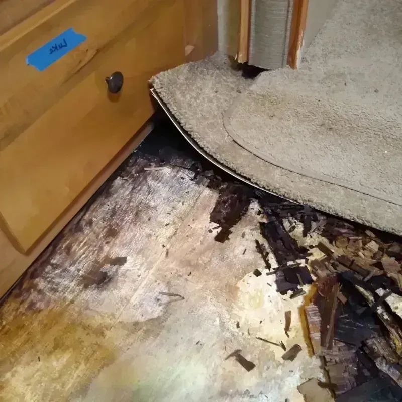 Wood Floor Water Damage in Fort Shawnee, OH